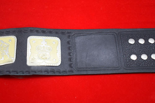 AWA Tag Team Southern Wrestling Championship Belt
