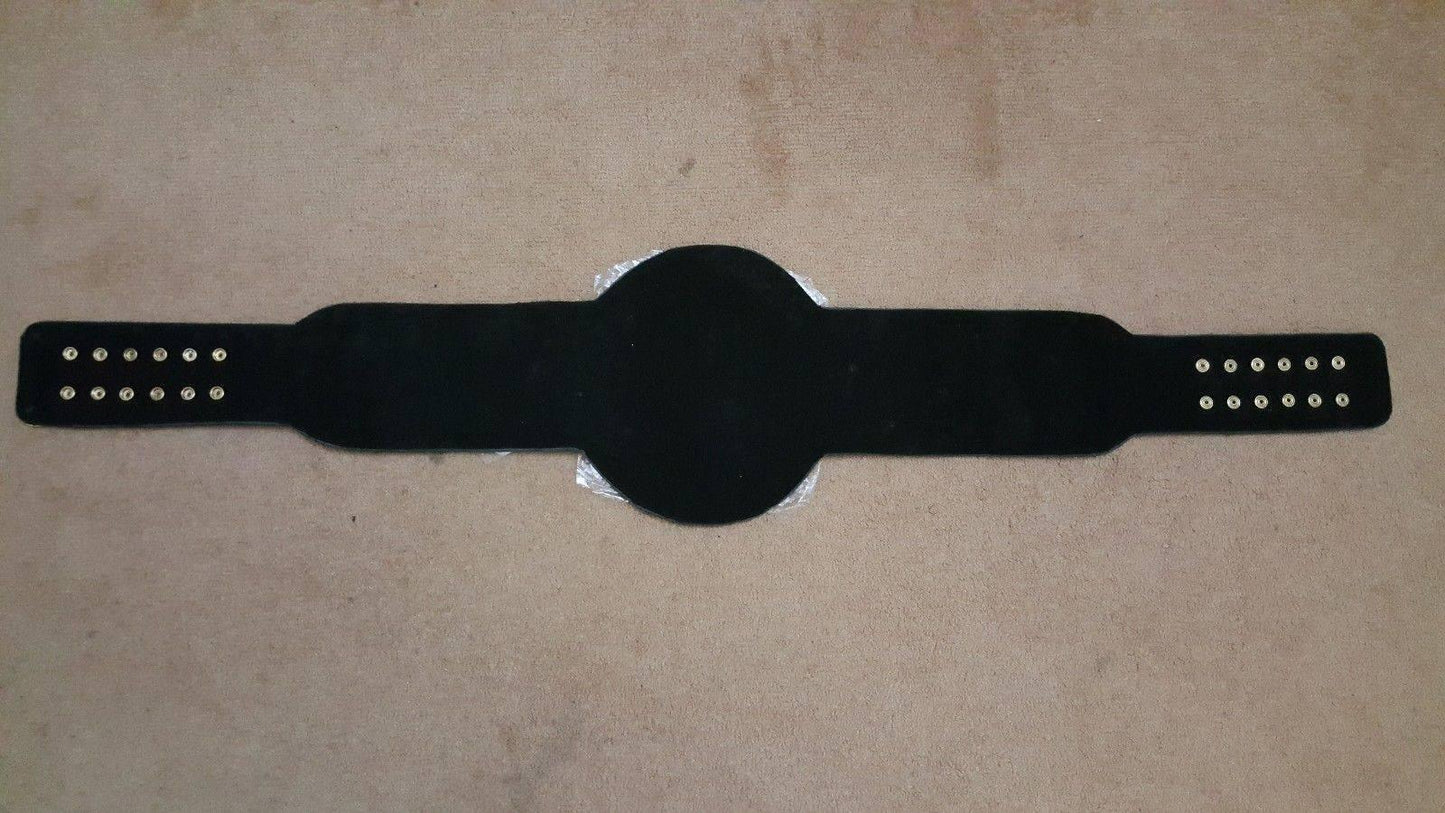 WWE WORLD TAG TEAM Brass Championship Title Belt