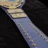 WWF Big Eagle Block Logo Championship Belt – Classic Attitude Era Replica