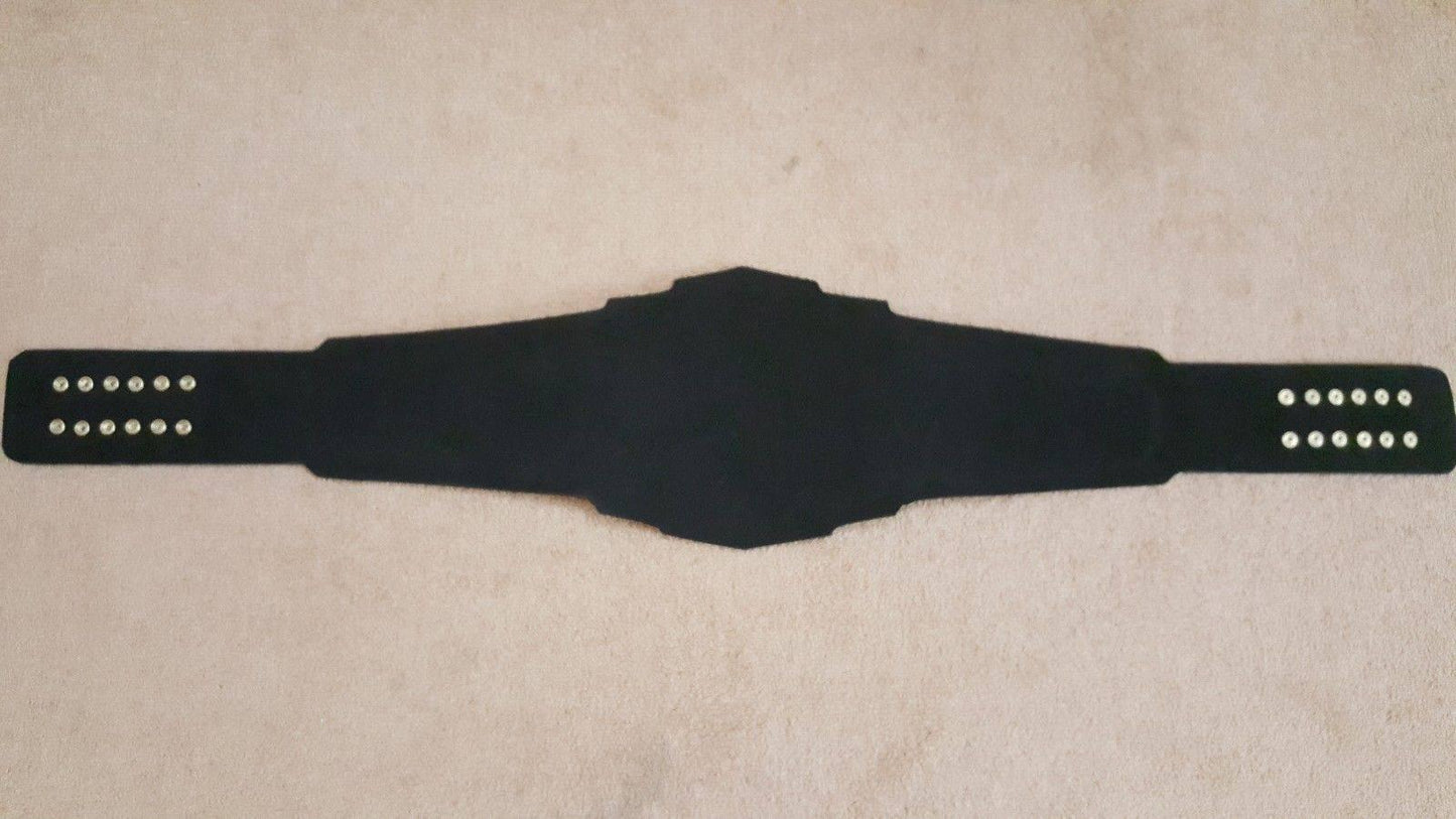 WCW WORLD TELEVISION Brass Championship Belt