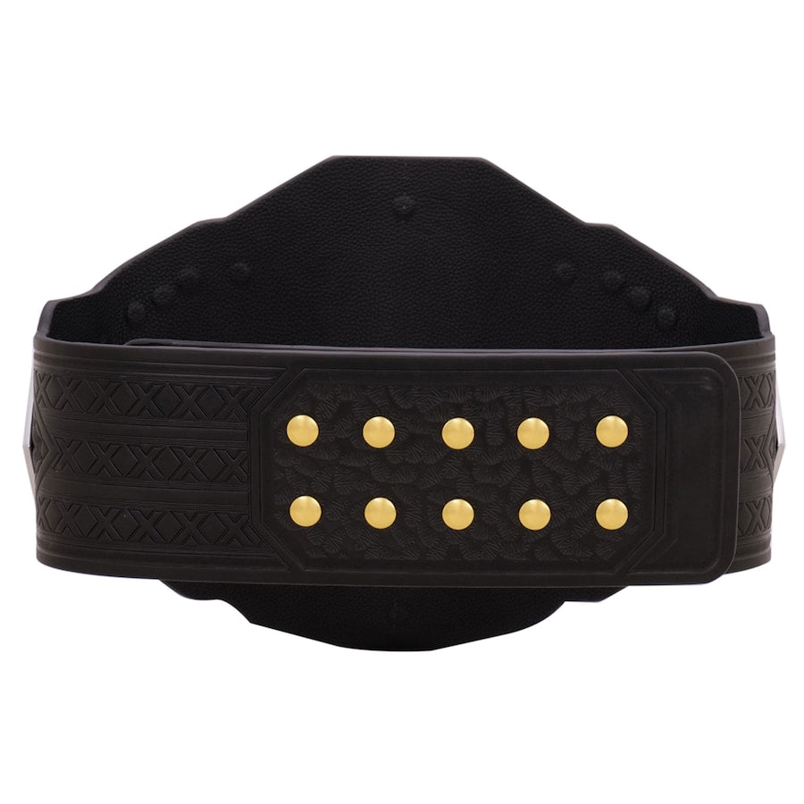 WWE NXT Championship 2024 Replica Title Belt