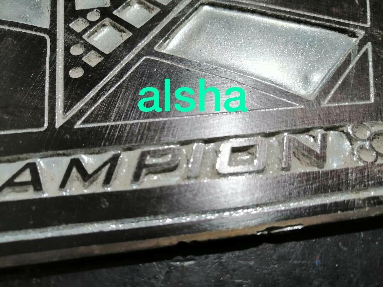 WWE RAW WOMENS Zinc Championship Belt