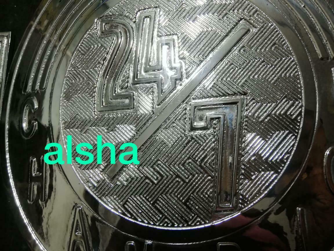 WWE 24/7 Zinc Championship Belt