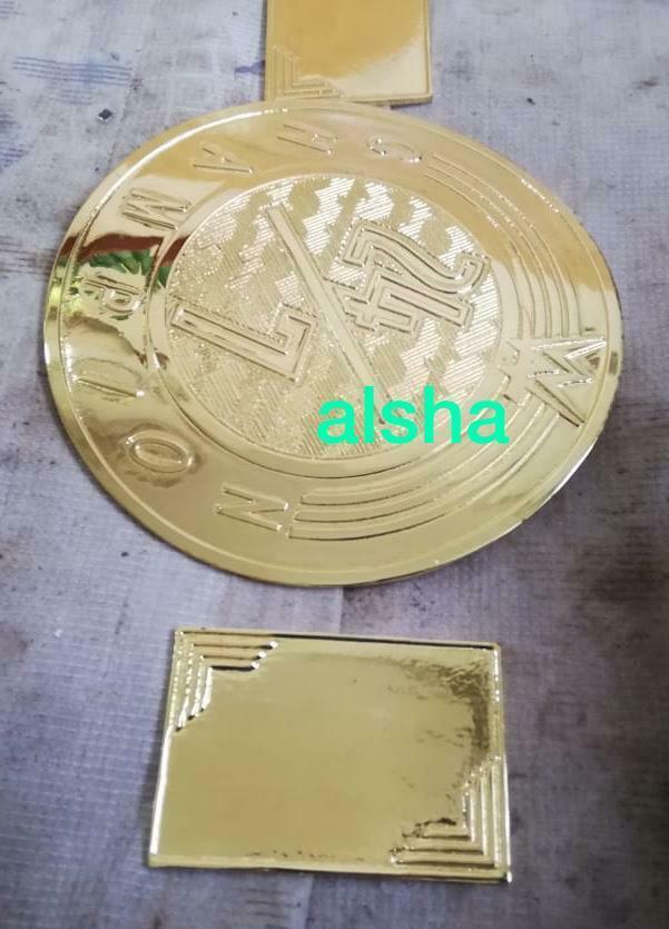 WWE 24/7 Zinc Championship Belt