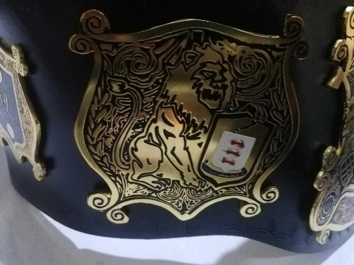 WWE UNDISPUTED Brass Championship Belt